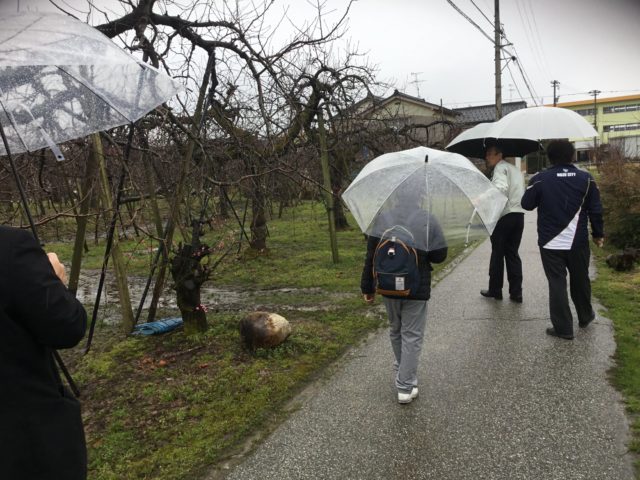 魚津の果樹園を見学