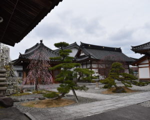 西徳寺のお庭