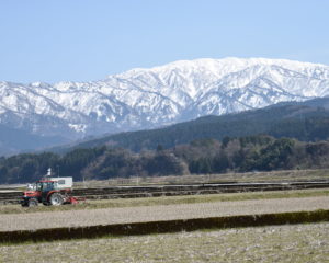 僧ヶ岳と農作業