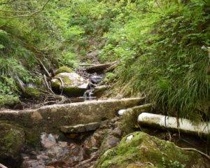 水の合流点