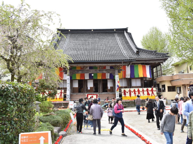 お寺がチューリップで鮮やかに