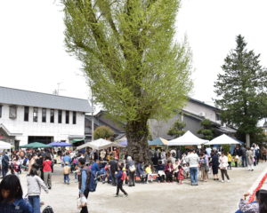 県内のお店が出店し賑わう