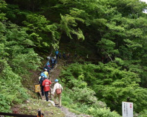 登山道