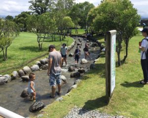 小川で涼む♪