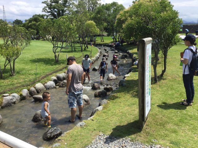 小川で涼む♪