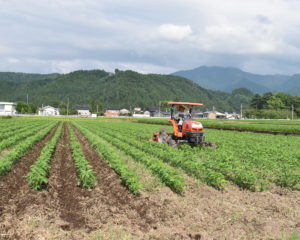 農家さんによる培土