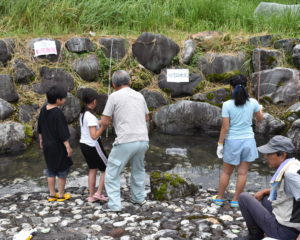 釣り方指南