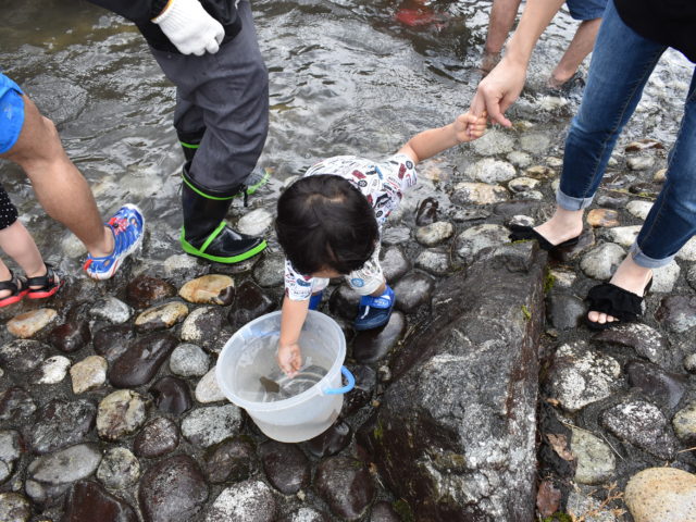 魚つかみ