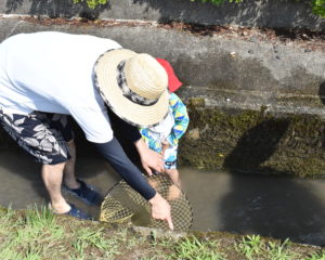 お父さんと一緒