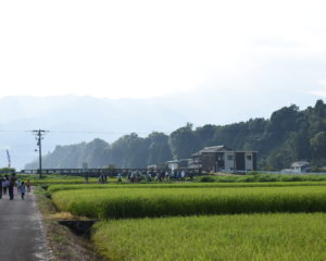 緑の中を歩ける幸せ☆