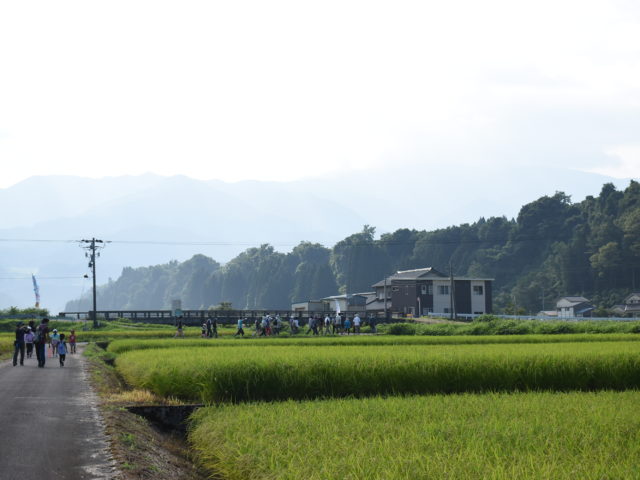 緑の中を歩ける幸せ☆