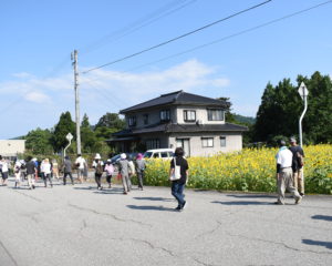 西布施のひまわりもキレイ