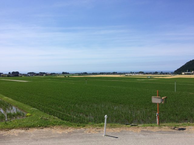 愛本地区田園