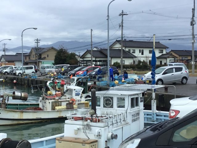 漁村の生地