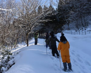 雪山散策イメージ