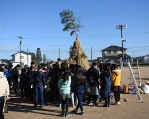 子どもたちも積極的に左義長作りします