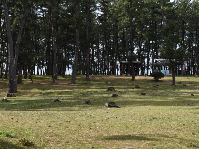 大島キャンプ場