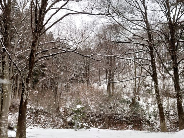 名残の雪