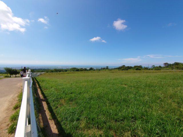 牧場からの風景