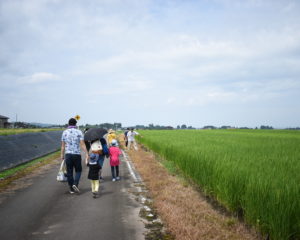 稲や大豆畑の間を歩いて