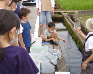 用水にも魚がいるよ♪