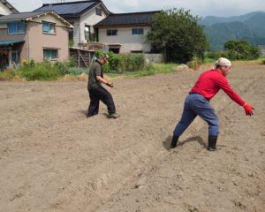 石を取り除く