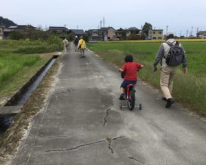 田園の中を歩く