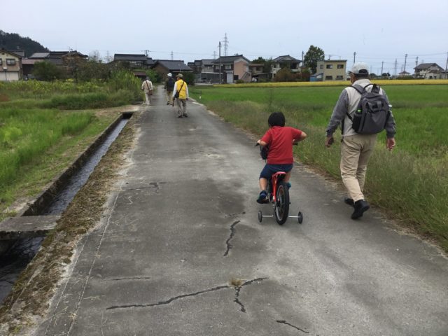 田園の中を歩く