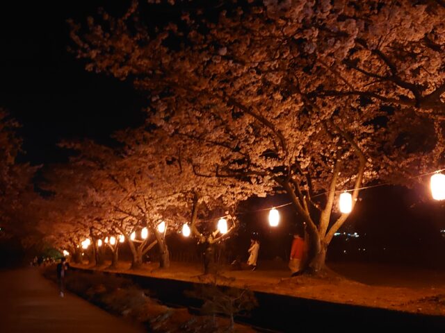 宮野の桜まつり