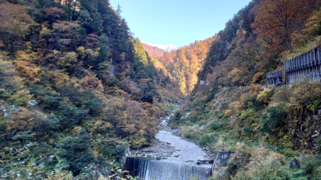 祖母谷温泉へ向かう道