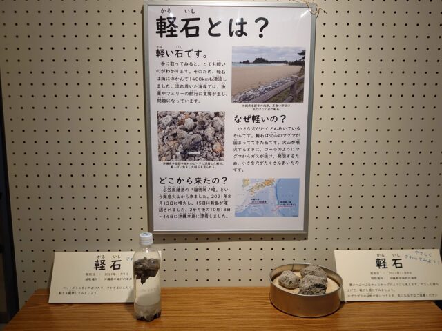 軽石の展示