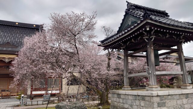 西徳寺