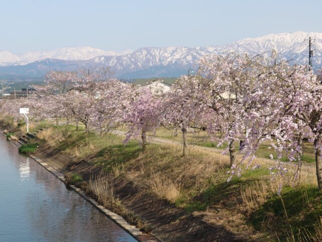 遠くに見える山もきれい