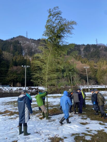 朝イチに取りに行ってきた竹です！