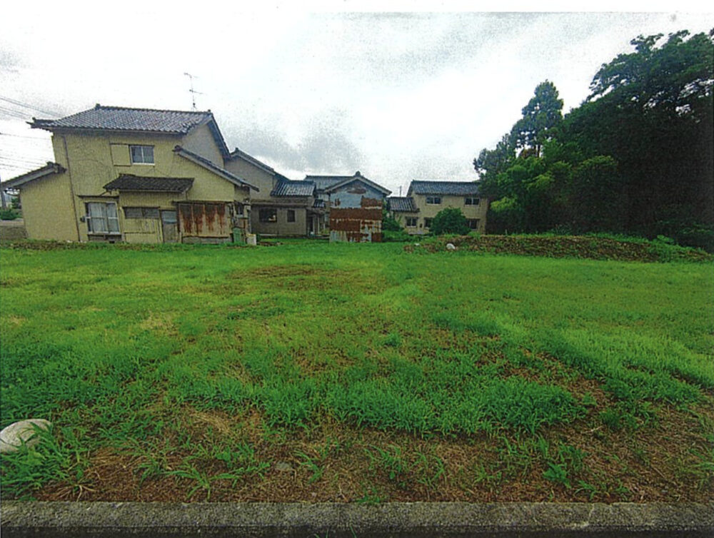No.164生地
