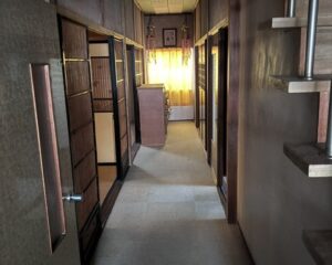 No242荒俣