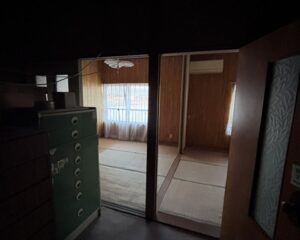 No242荒俣